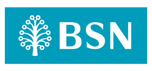 BSN-New-Logo-Vector