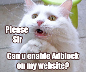 please SIR