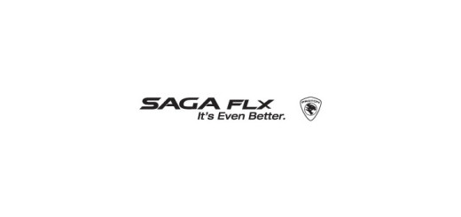 SAGA-FLX-Logo-vector