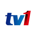 RTM TV1 Logo vector