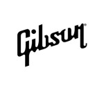Gibson Vector