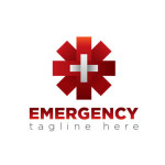 Red asterisk logo with a cross template