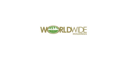 worldwide-holdings-vector