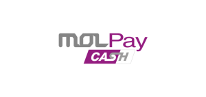 molpay-cash-vector