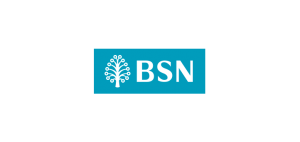 bsn-logo-vector