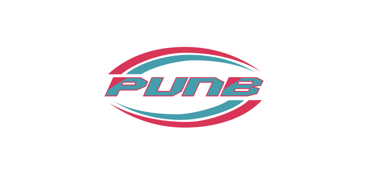 PUNB-Vector-Logo
