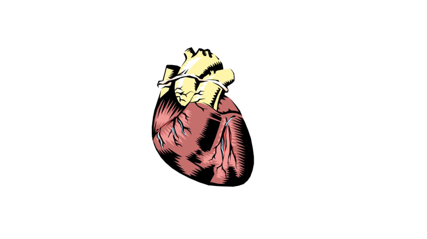 heart clipart
