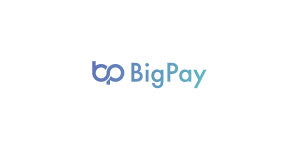 bigpay logo vector