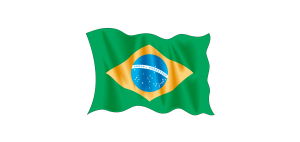 Brazil Vector Flag