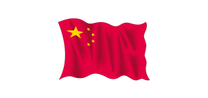 China Flag vector